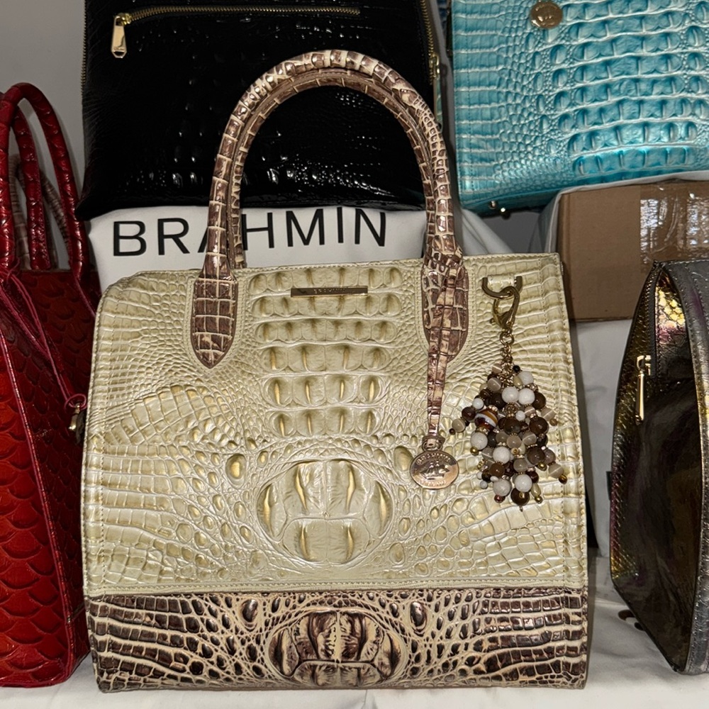 Brahmin Caroline Ginger Ombré